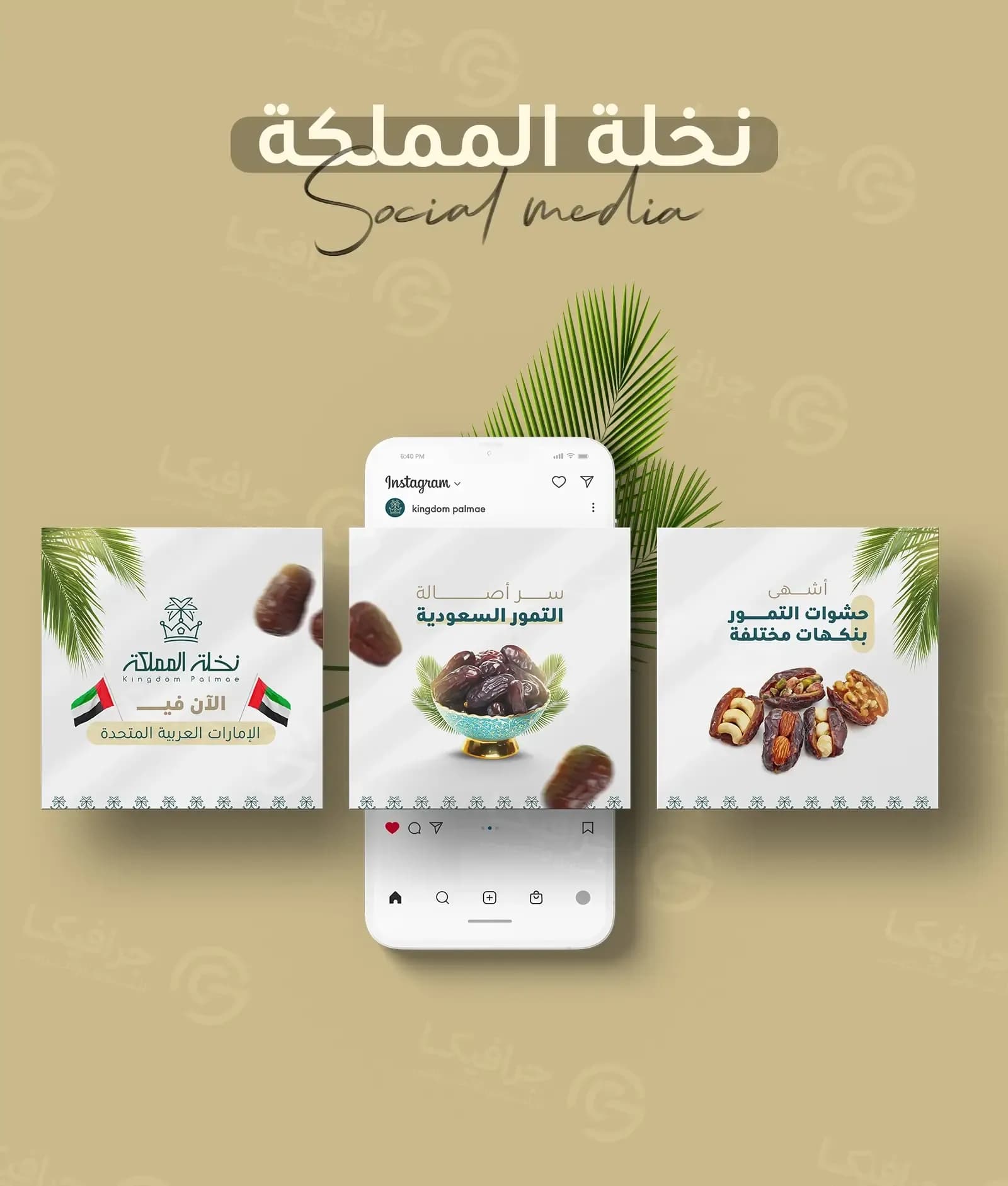 Three Kingdom Palmae post designs around a phone showing the brand's Instagram account